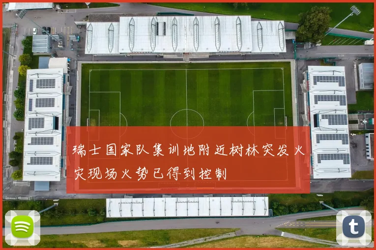 瑞士国家队集训地附近树林突发火灾现场火势已得到控制