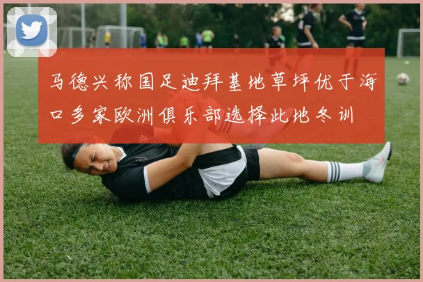 马德兴称国足迪拜基地草坪优于海口多家欧洲俱乐部选择此地冬训