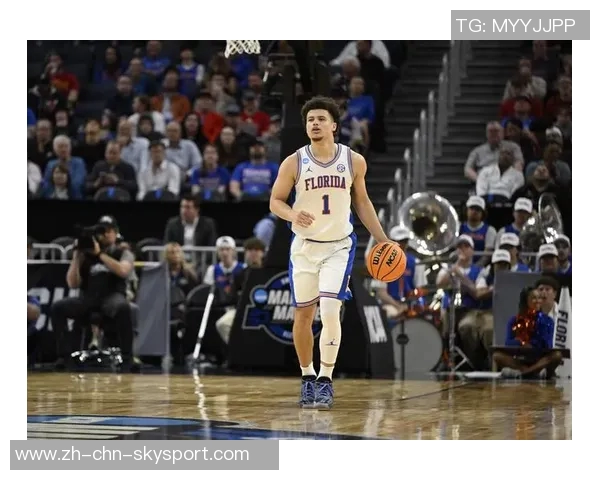 新秀榜更新克尼佩尔稳居榜首弗拉格紧随其后VJ与哈珀争夺前四名次